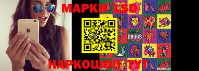 индика Аргун