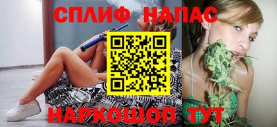 индика Аргун
