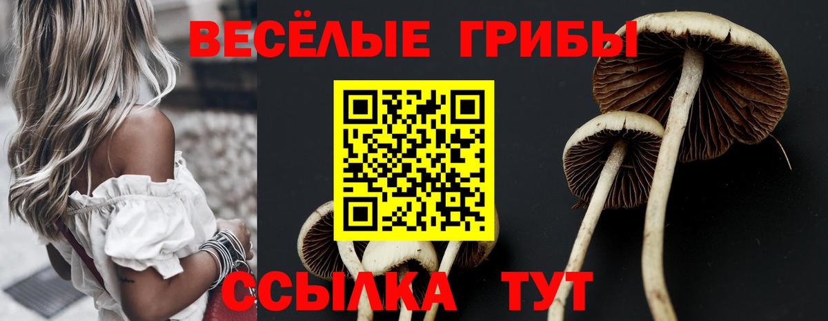 Галлюциногенные грибы Cubensis Бугуруслан