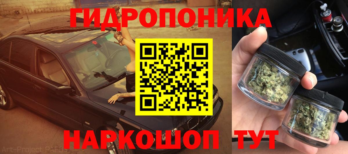 Каннабис планчик  Бошки марихуана сатива  Бошки Шишки индика  Вход с VPN  Бугуруслан 